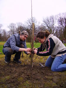March 07 planting 026